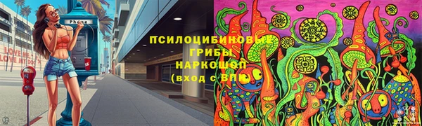 шишки Гусь-Хрустальный